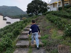 -帐篷客·溪龙茶谷度假酒店