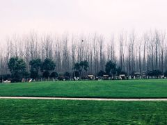 -合肥滨湖国家森林公园