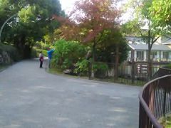 -白马涧龙池景区