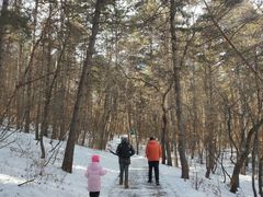 -帽儿山国家森林公园