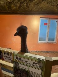 -Zoolung Zoolung动物主题公园(海信广场店)