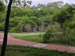 -黑龙江省森林植物园