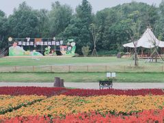 -同里国家湿地公园