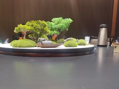 -阿露佳·舌尖上的安吉菜