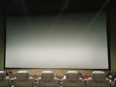 -天幕新彩云国际影城(激光巨幕店)