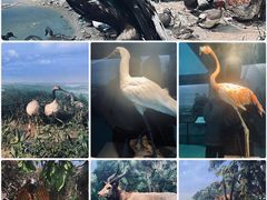 -大连自然博物馆