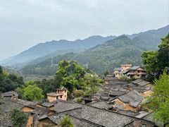 -杨家堂村