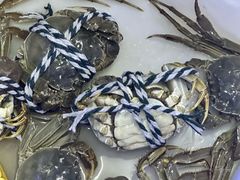 -祥鹤龙虾螃蟹