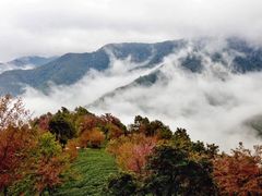 -无量山自然风景保护区