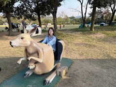 -南京银杏湖乐园