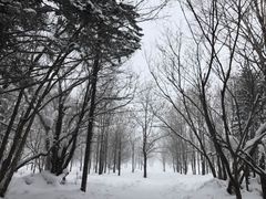 -雪谷