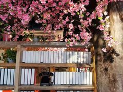-黄家码头老火锅(解放碑旗舰店)