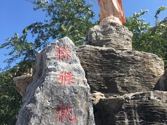 -大岭沟猕猴桃谷风景区
