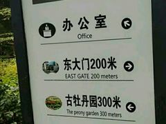 -洛阳市牡丹公园