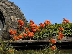-乌山风景区