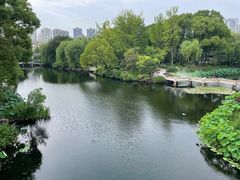 -南园(太仓市)