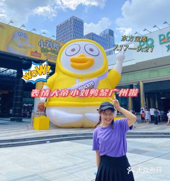 大流量表情包小刘鸭黎广州啦