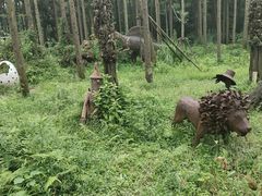 -东平国家森林公园