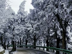 -南岳衡山风景名胜区