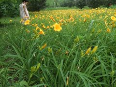 -长白岛森林公园