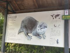 -深圳野生动物园