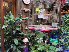 -束河人家(南锣鼓巷店)