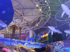 -烟台海昌鲸鲨海洋公园