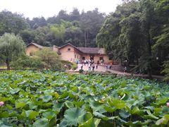 -韶山毛泽东同志故居