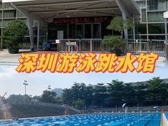 -南山文体中心-游泳馆