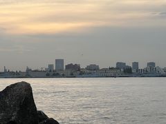 -上海滨江森林公园