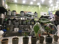 -茉沏(万科美好广场店)
