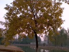 -东郊湿地公园