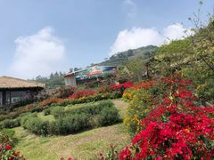 -优游吧斯邹族文化部落