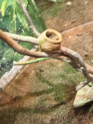 -Zoolung Zoolung动物主题公园(海信广场店)