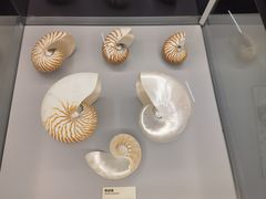 -天津古林古海岸遗迹博物馆