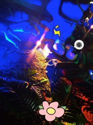 -恐龙探索乐园(磁器口店)