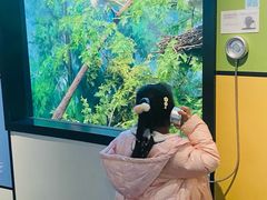 -同里国家湿地公园