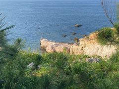 -养马岛旅游度假区