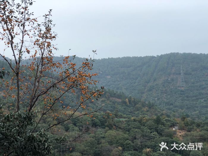 雨花胜境图片