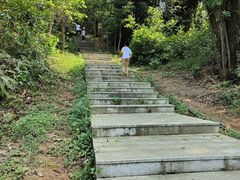 -天鹿湖森林公园