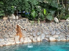 -湖泉半山温泉