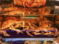 -蟹道乐(道顿堀本店)