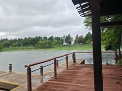 -贡湖湾湿地公园