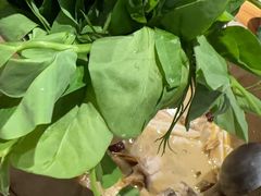 -云尊府云南菜·蒸汽石锅鱼(学清路店)