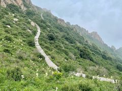 -白草畔自然风景区