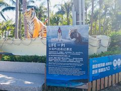 -白沙湾海滩