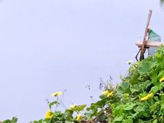 -天屿湖
