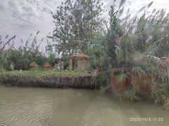 -泗洪洪泽湖湿地景区