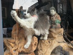 -Santoor 萨都里印度餐厅(北锣鼓巷店)