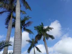 -三亚南山文化旅游区